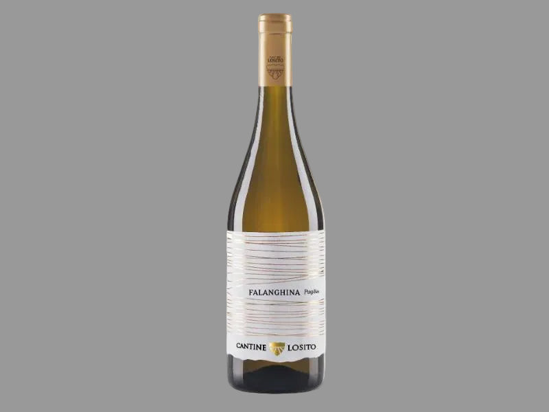 Falanghina di Puglia 2025 Bio – Cantine Losito