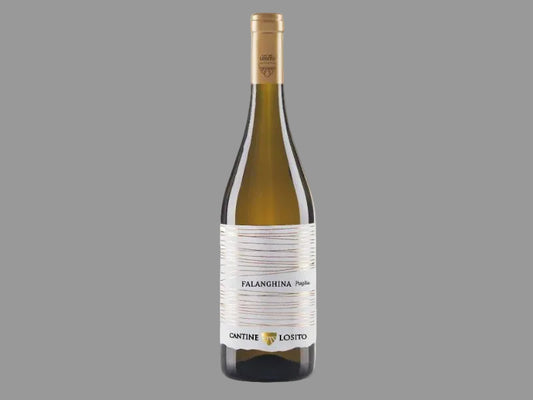 Falanghina di Puglia 2025 Bio – Cantine Losito
